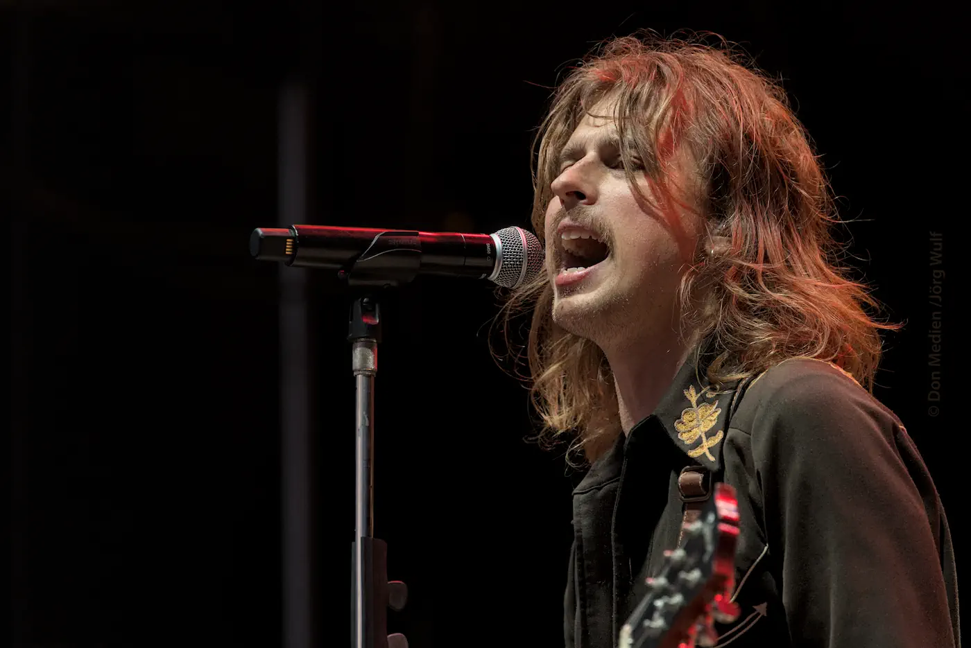 Gut gebrüllt – DeWolff